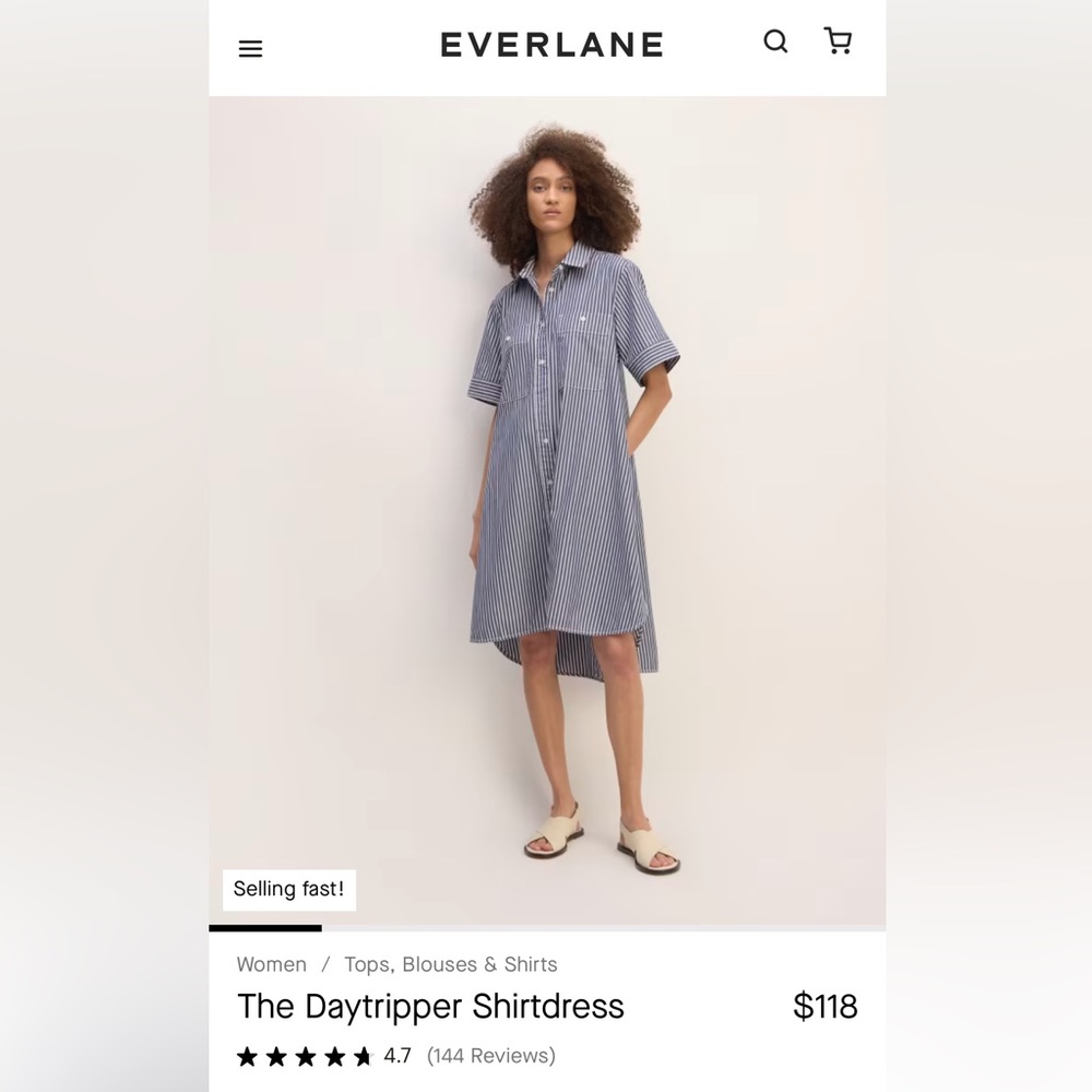 Everlane Daytripper Shirtdress Size S
